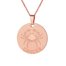 Custom Engraved Rose Gold Plated Stainless Steel Brushed Zodiac Sign Coin Necklace Jewelry